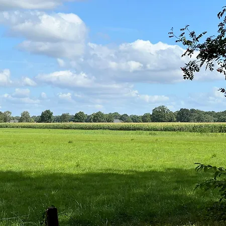 Holiday home Houten Huisjes Voor Rust Ruimten En Neede